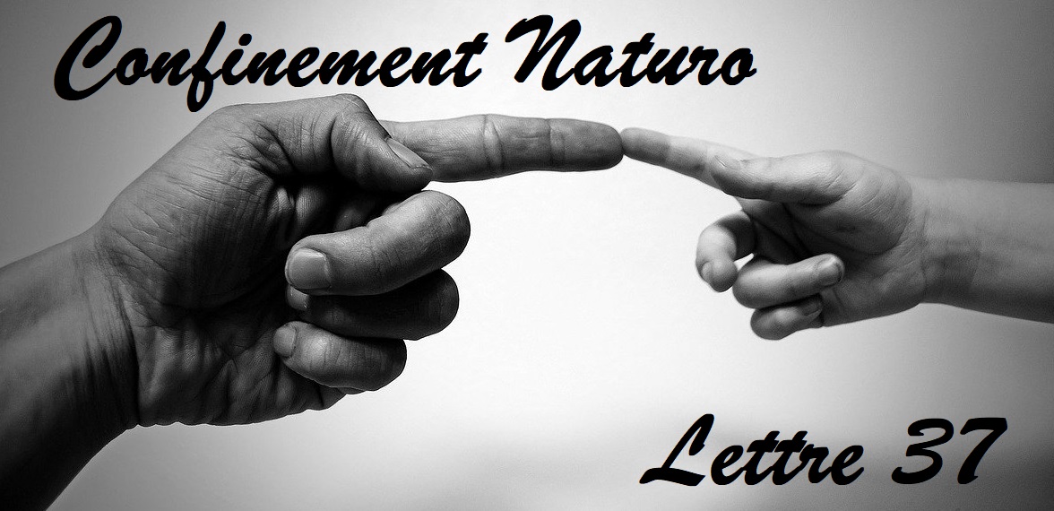 Confinement Naturo (lettre 37) – Devenez votre propre source
